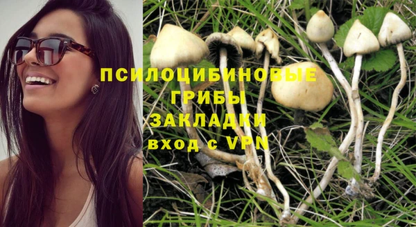 бошки Алзамай