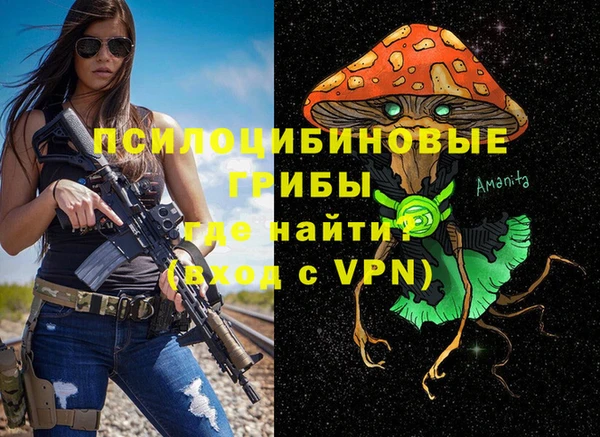 спиды Алексин