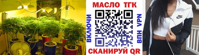 ТГК вейп с тгк  продажа наркотиков  Нарьян-Мар 